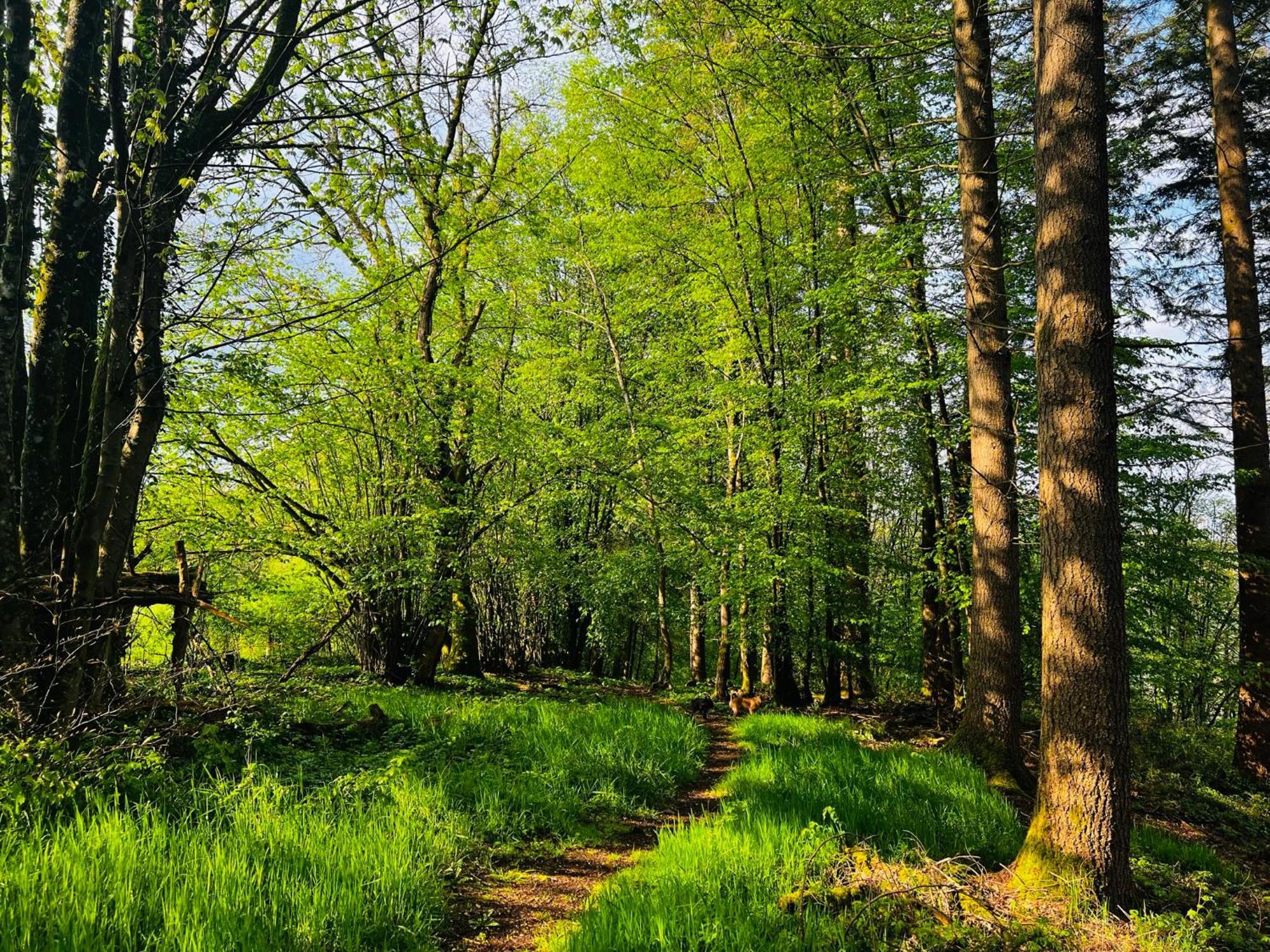 Charme A Graide Villa Buitenkant foto